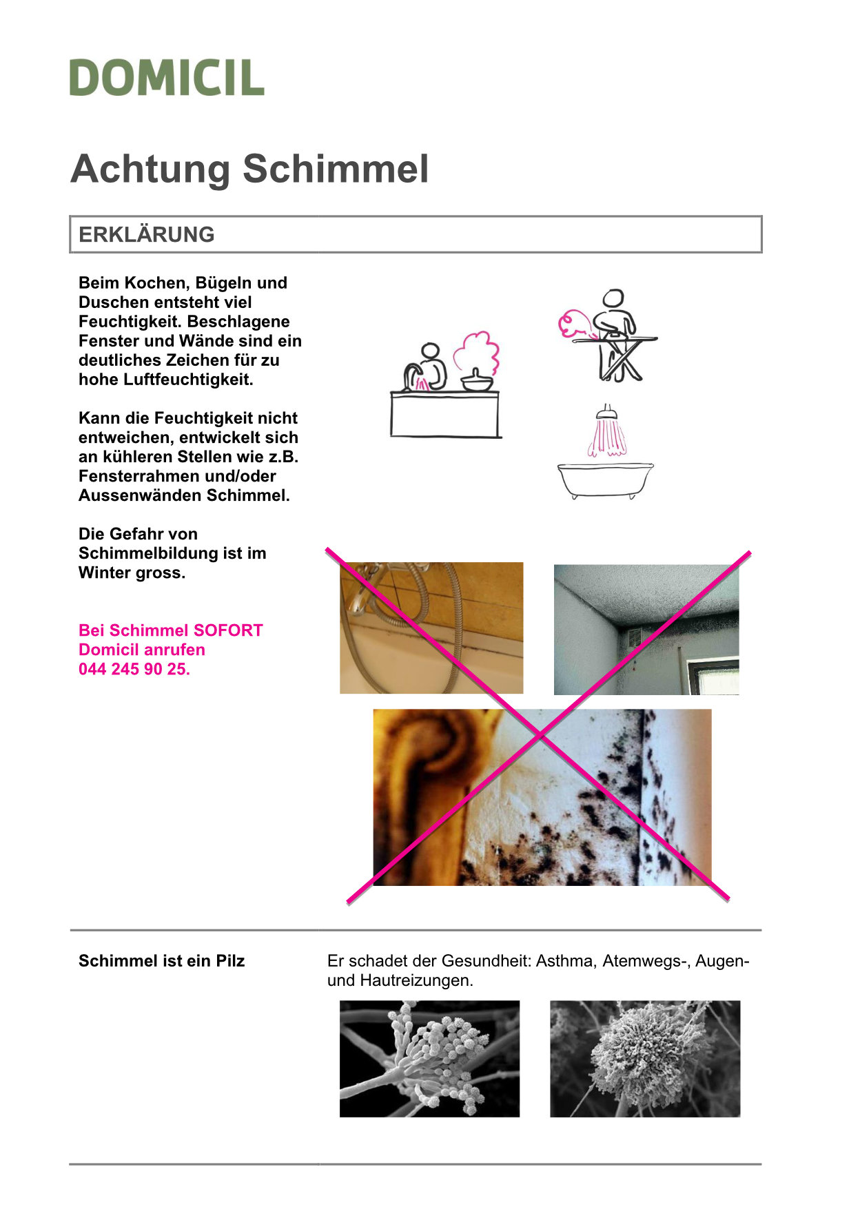 Deckblatt_Merkblatt_Schimmelprävention.jpg